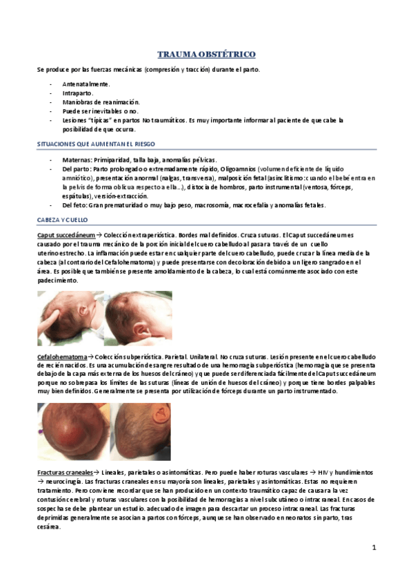Miniatura del documento TRAUMA-OBSTETRICO.pdf