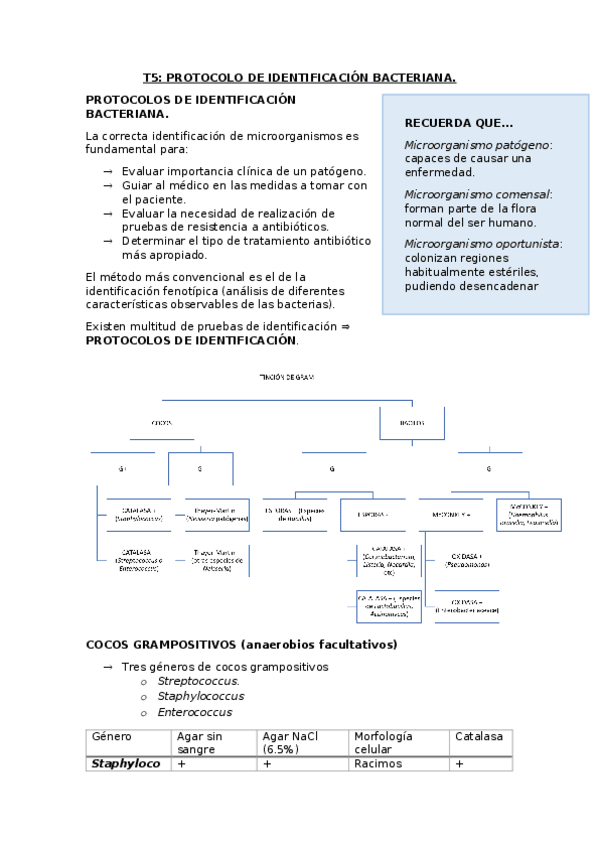 Miniatura del documento T-5-.docx