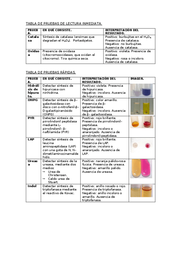 Miniatura del documento TABLA-DE-PRUEBAS.docx