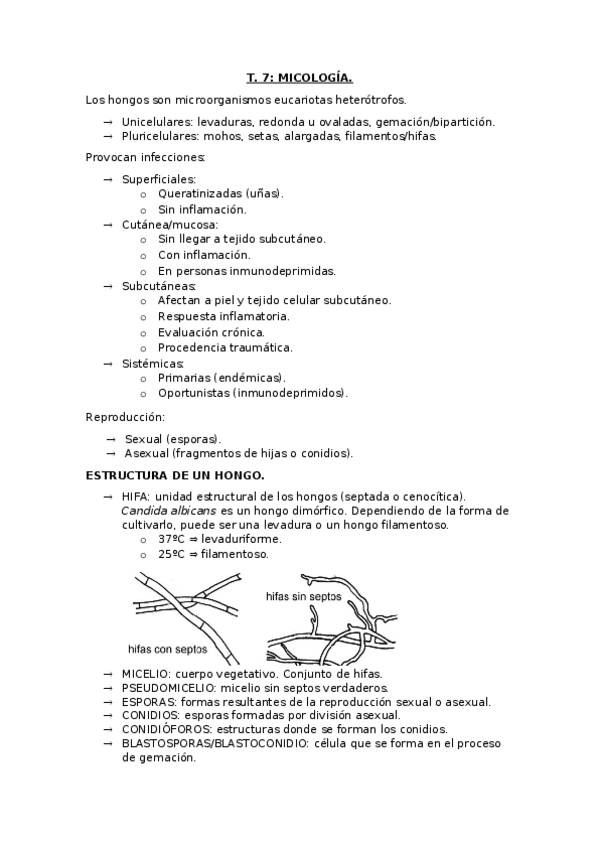 Miniatura del documento T-7.docx