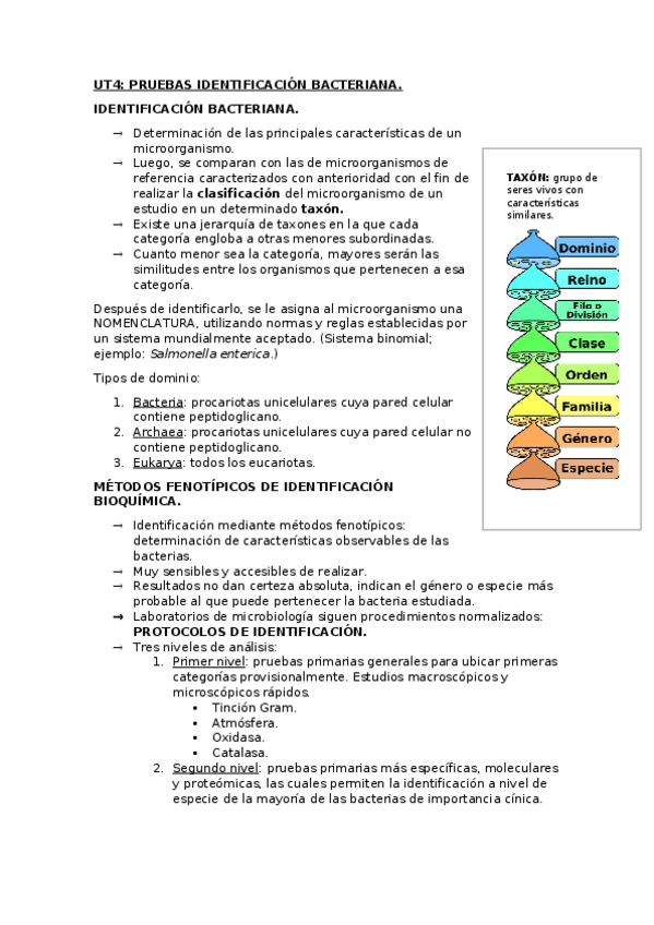 Miniatura del documento UT4.docx