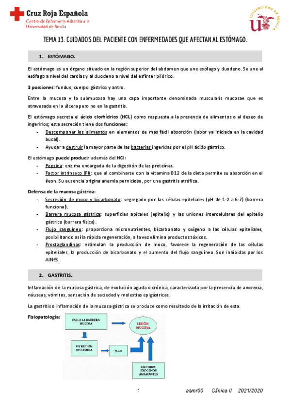 Miniatura del documento T13-Clinica-II.pdf