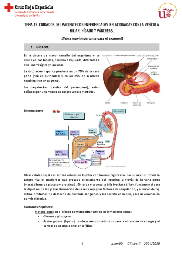 Miniatura del documento T15-ClinicaII.pdf