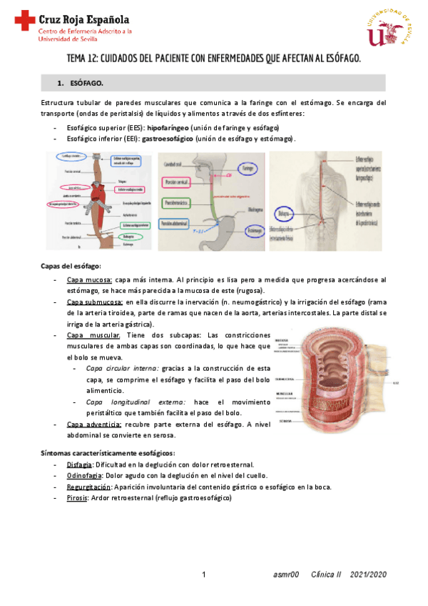 Miniatura del documento T12-Clinica-II.pdf
