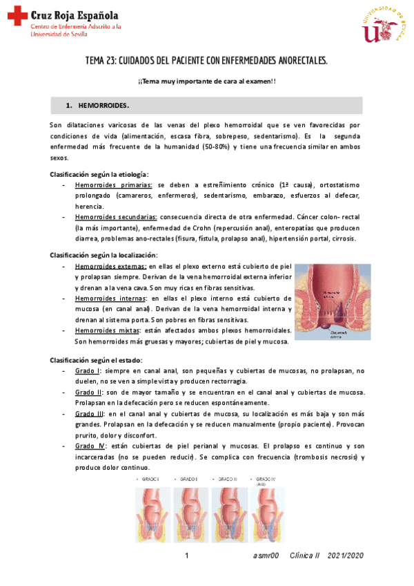 Miniatura del documento T23-CLINICA-II.pdf