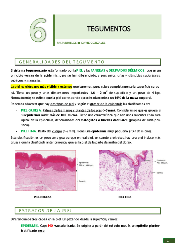 Miniatura del documento 6.pdf