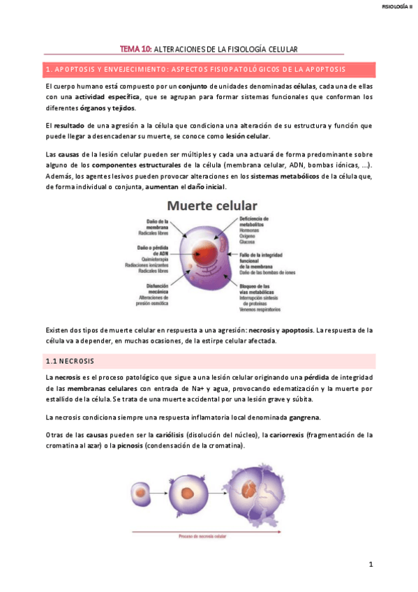 Miniatura del documento BLOQUE-2-FISIOLOGIA.pdf