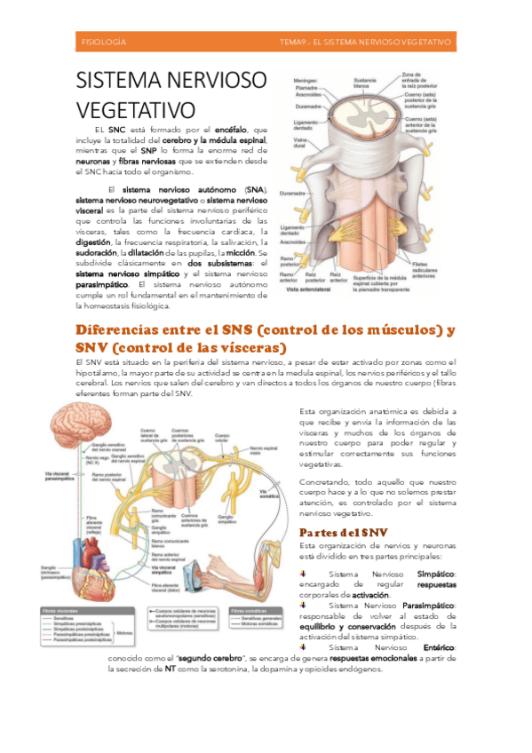 Miniatura del documento TEMA-IX-SNV.pdf