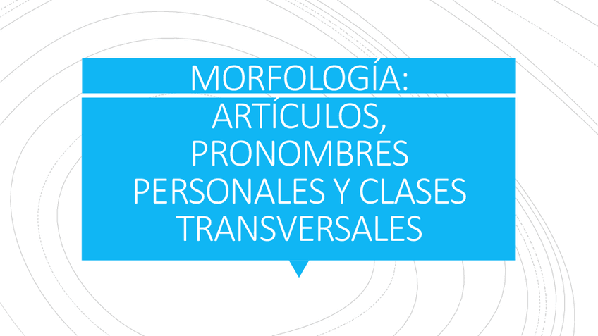 Miniatura del documento MORFOLOGIA-LAS-CLASES-TRANSVERSALES.pdf