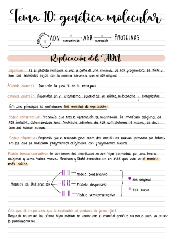 Miniatura del documento GENETICA-MOLECULAR-.pdf