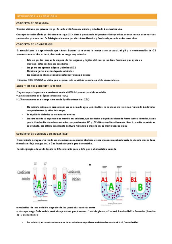 Miniatura del documento TEMA-1.pdf