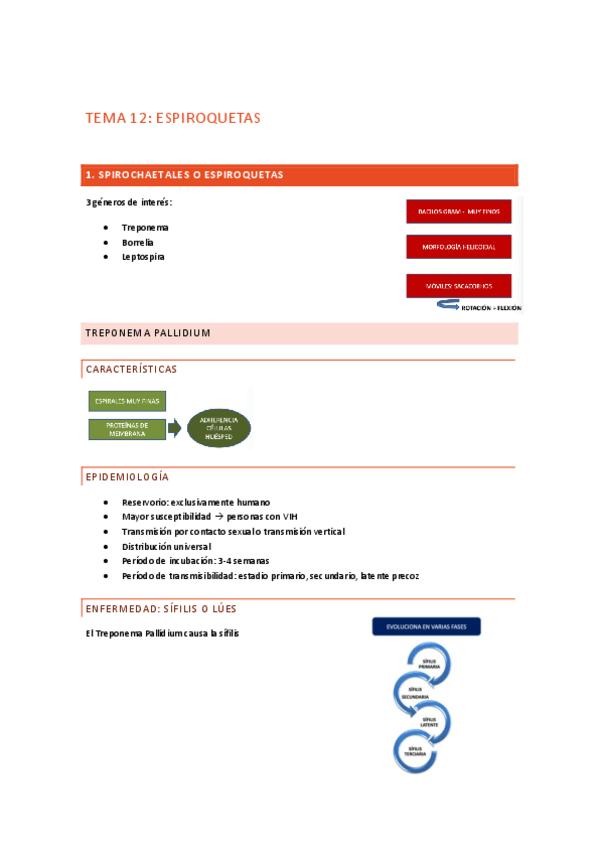 Miniatura del documento TEMA-12.pdf