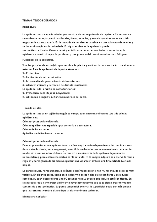 Miniatura del documento TEMA 4.pdf
