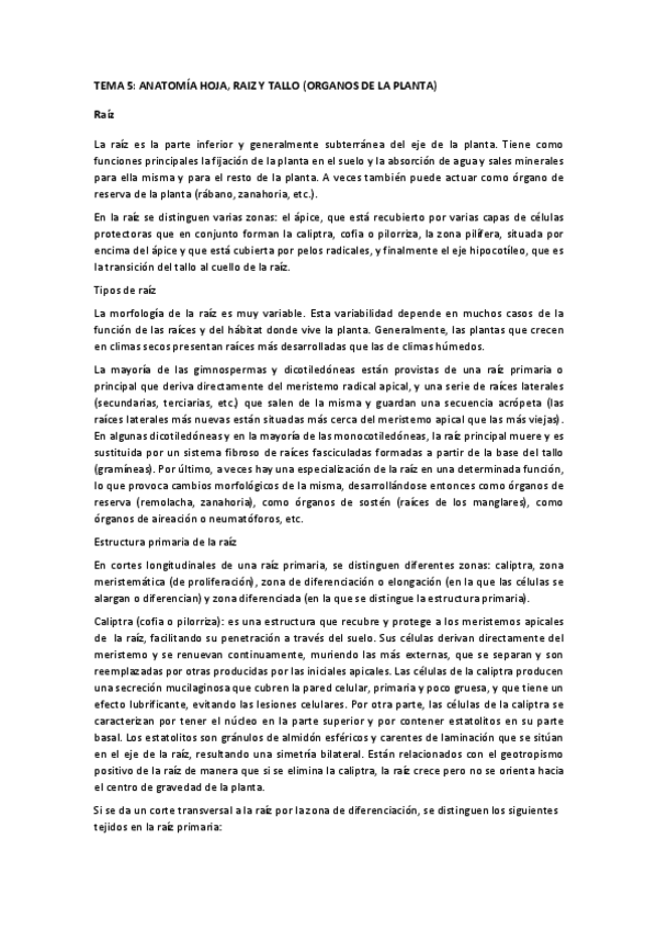 Miniatura del documento TEMA 5.pdf
