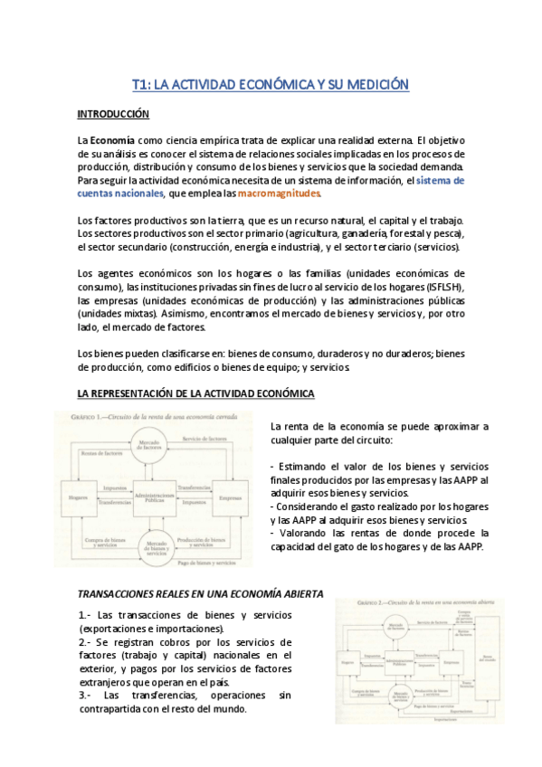 Miniatura del documento T1-La-actividad-economica-y-su-medicion.pdf