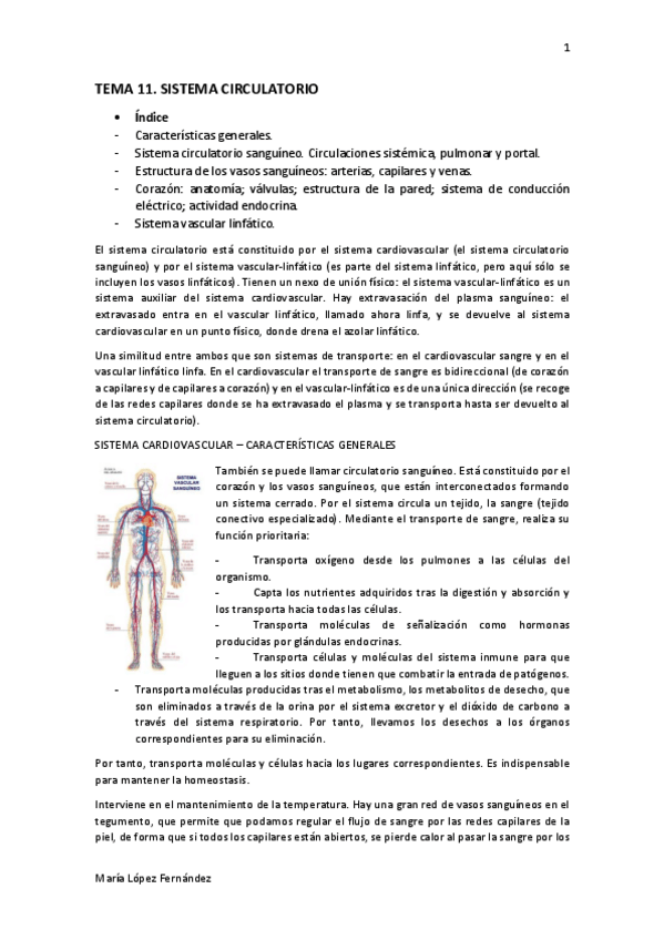 Miniatura del documento TEMA 11.pdf