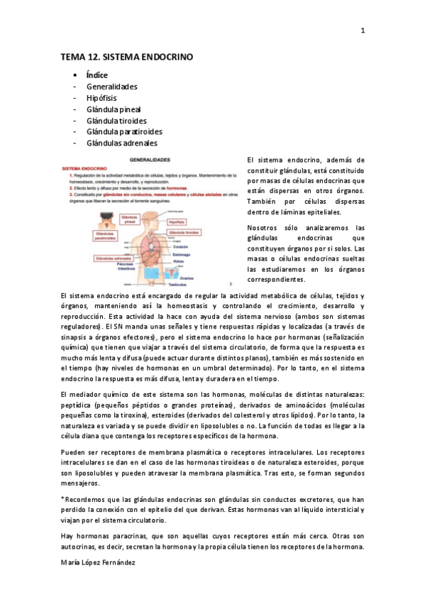 Miniatura del documento TEMA 12.pdf