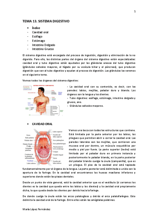 Miniatura del documento TEMA 13.pdf