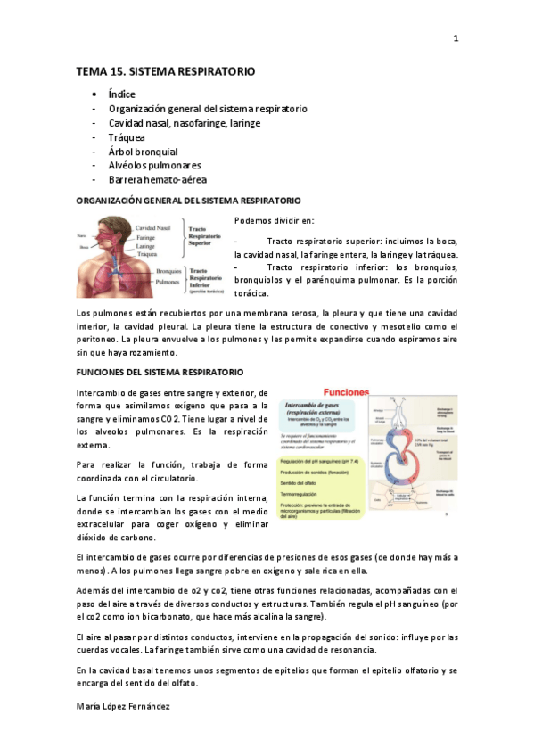 Miniatura del documento TEMA 15.pdf