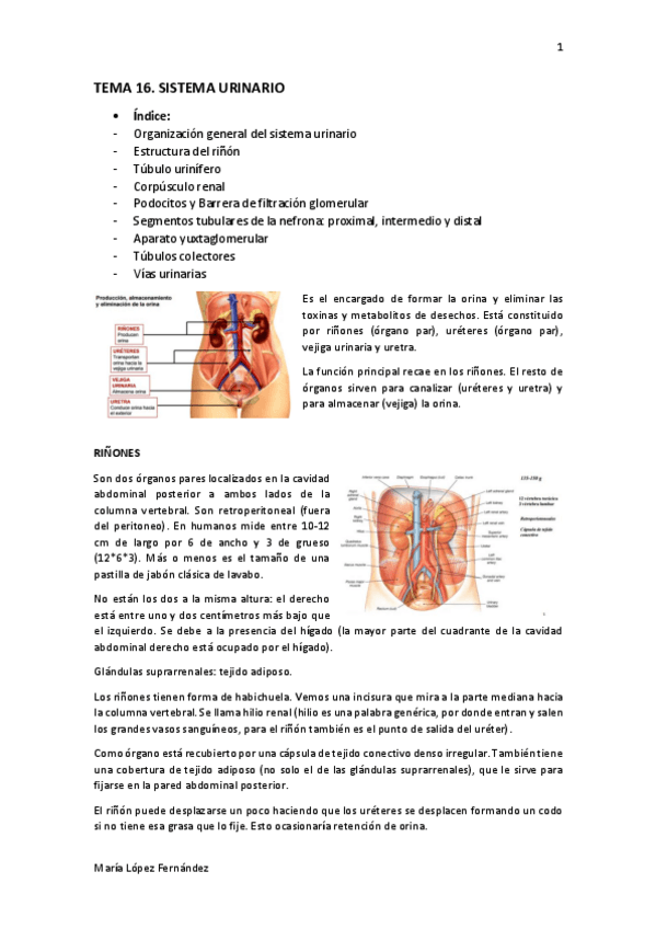 Miniatura del documento TEMA 16.pdf