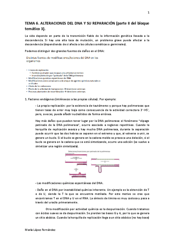 Miniatura del documento TEMA 6.pdf