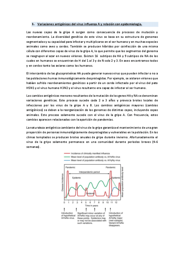 Miniatura del documento Segundo parcial micro.pdf