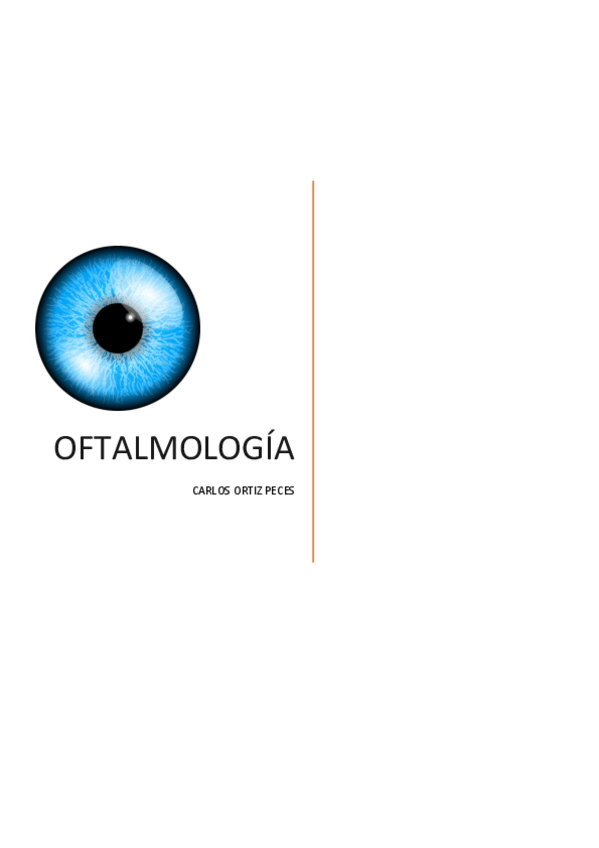 Miniatura del documento RESUMEN-CARLOS-OFTALMO.pdf