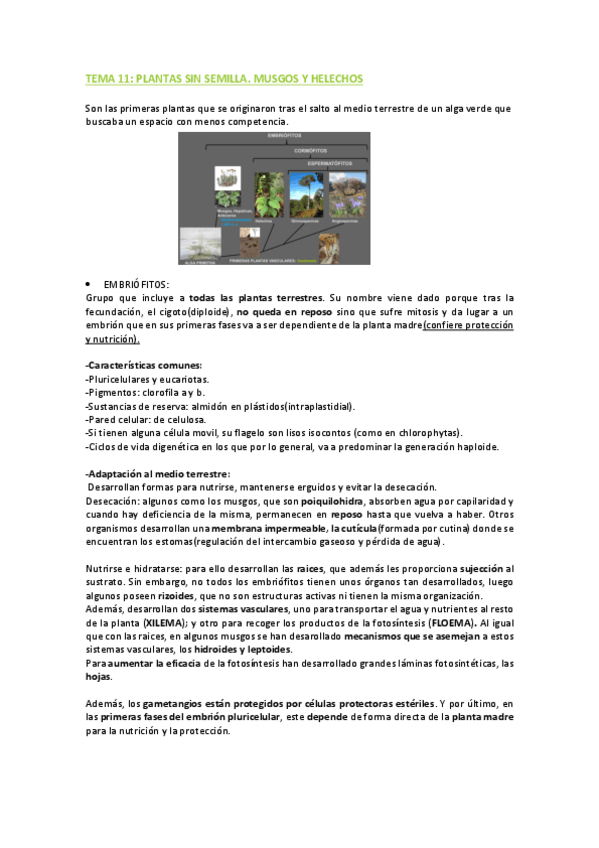Miniatura del documento APUNTES-Tema-11.pdf