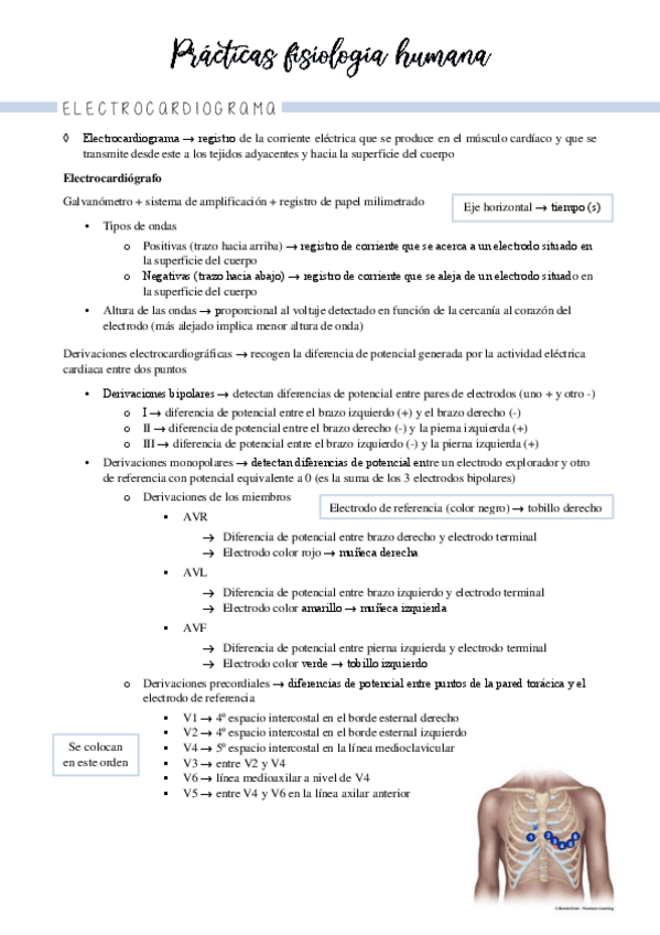 Miniatura del documento apuntes-practicas-2a-parte.pdf