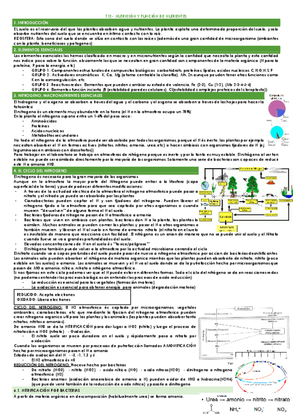 Miniatura del documento T12-NUTRICION-Y-FUNCION-DE-NUTRIENTES.pdf