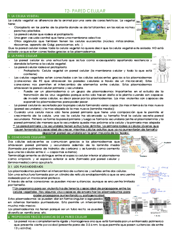 Miniatura del documento T2-PARED-CELULAR.pdf