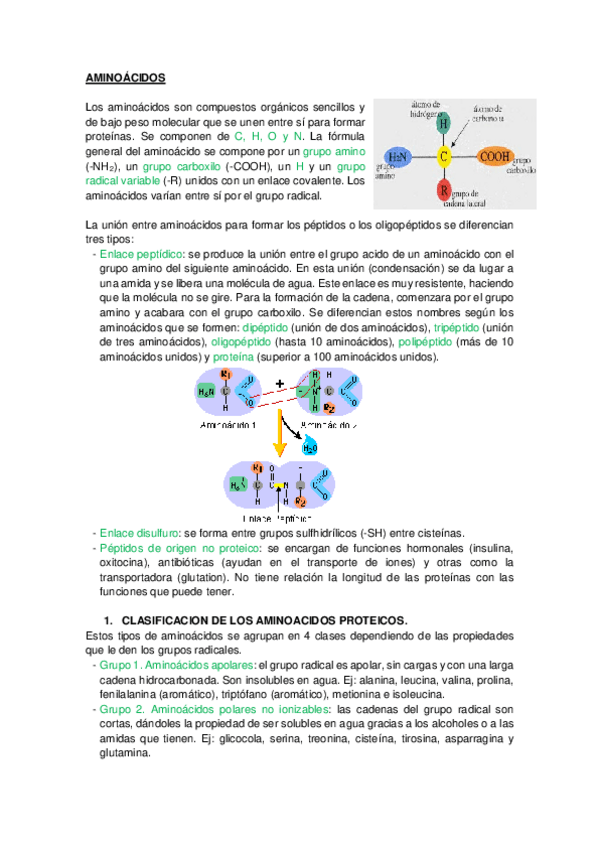 Miniatura del documento BIOQUÍMICA.pdf