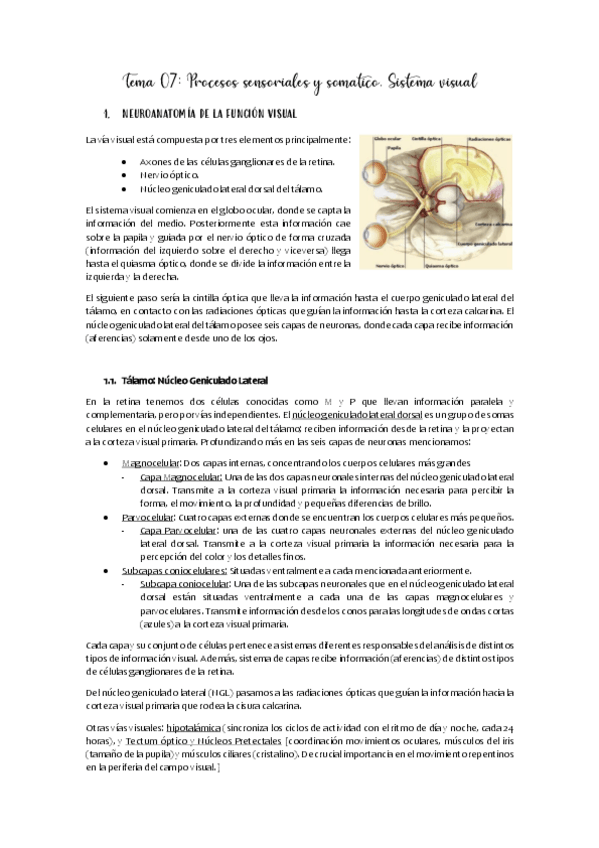 Miniatura del documento Apuntes-tema-07.pdf