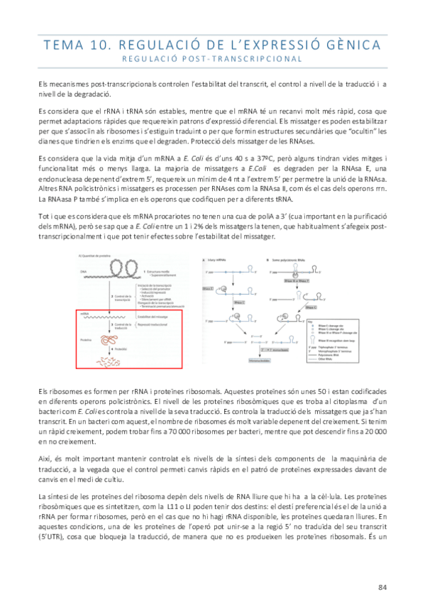 Miniatura del documento Tema10.pdf