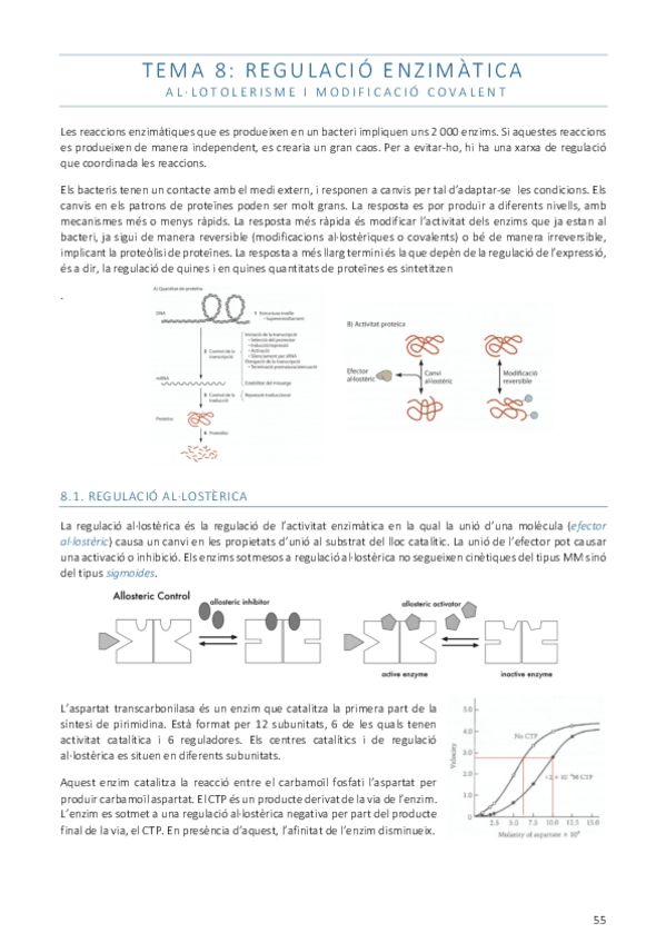 Miniatura del documento Tema8.pdf