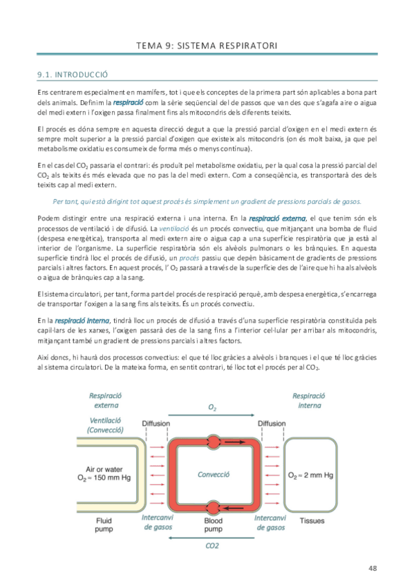 Miniatura del documento Tema-9.pdf
