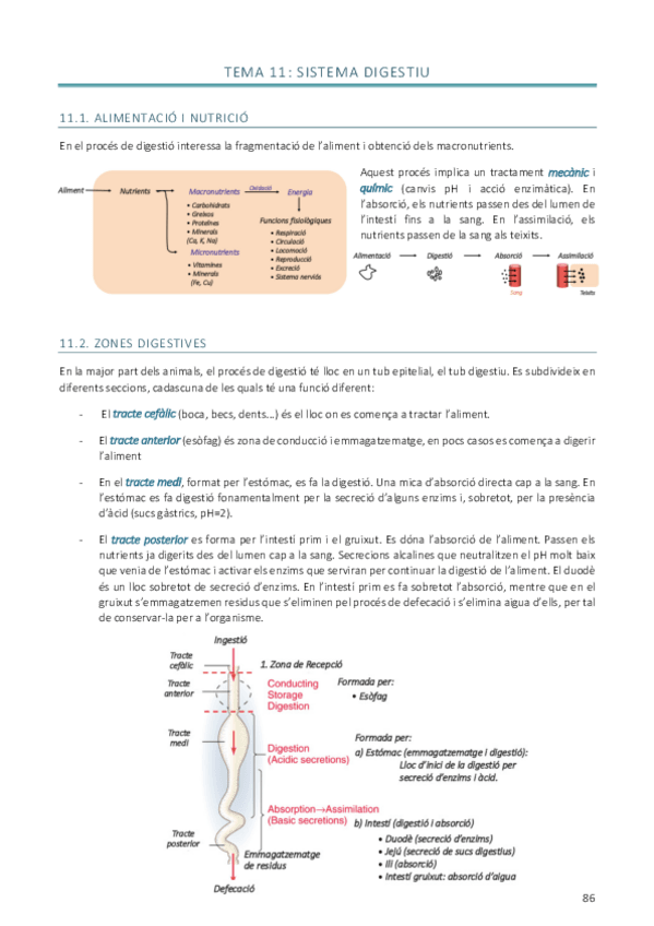 Miniatura del documento Tema-11.pdf