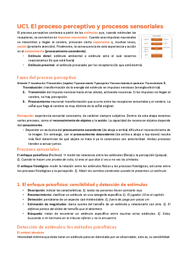 Miniatura del documento Atencion-y-Percepcion.pdf