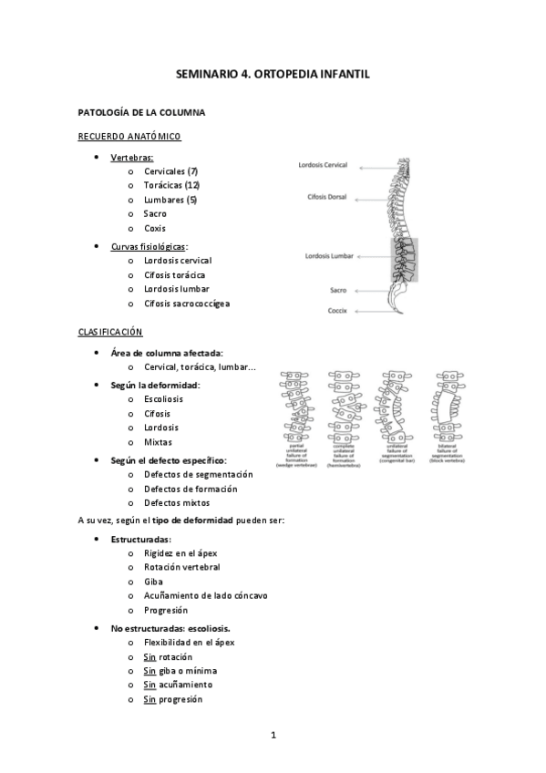 Miniatura del documento ORTOPEDIA-INFANTIL.pdf