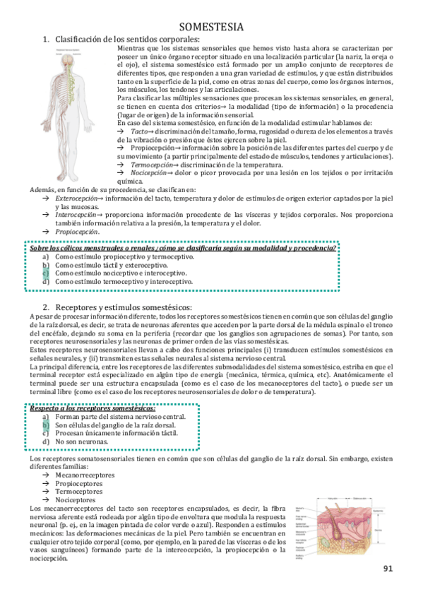 Miniatura del documento SOMESTESIA.pdf