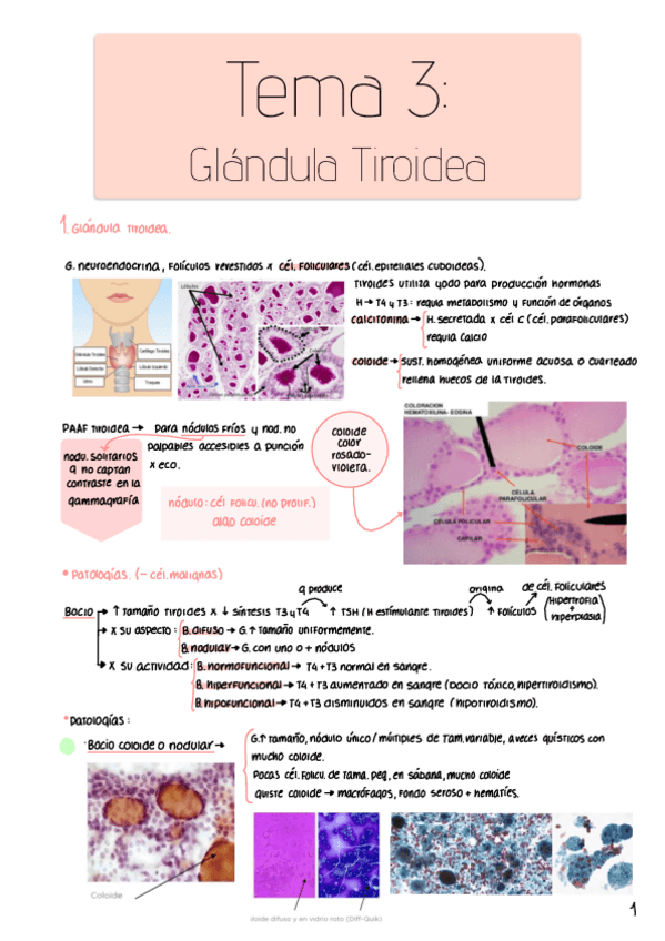 Miniatura del documento Citologia-General-tema-3.pdf