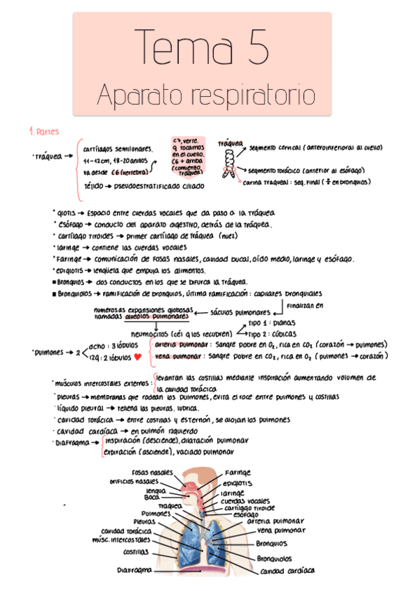 Miniatura del documento Citologia-General-tema-5.pdf