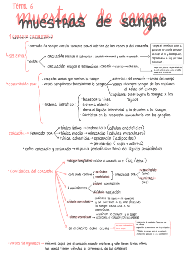 Miniatura del documento GMB-tema-6.pdf