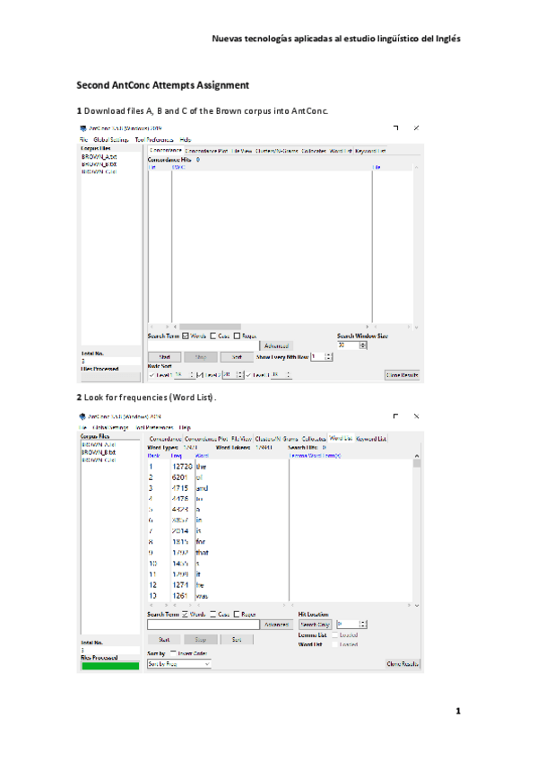 Miniatura del documento Second-AntConc-AttemptsAssignment.pdf