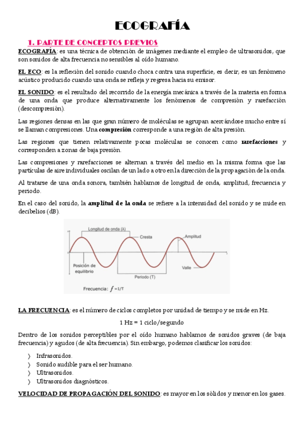 Miniatura del documento Ecografia.pdf