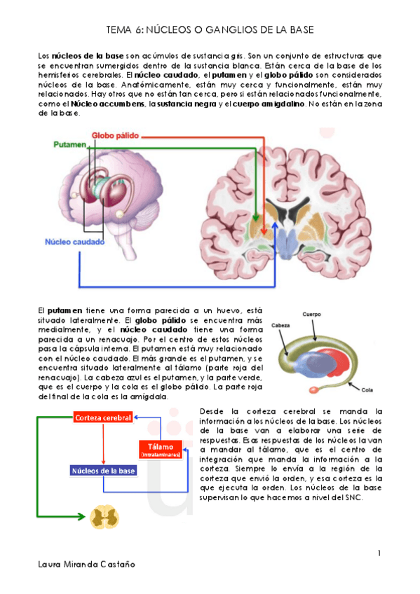 Miniatura del documento Tema 6. Núcleos de la Base.pdf