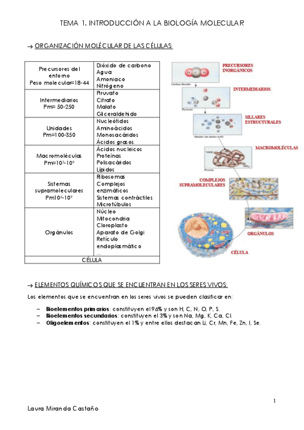 Miniatura del documento Tema 1. Introducción a la Biología Molecular.pdf
