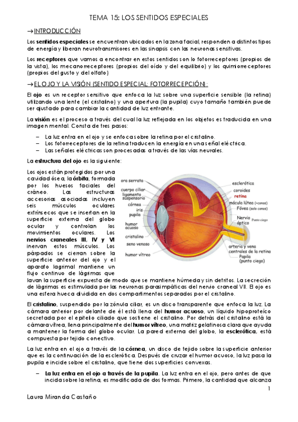 Miniatura del documento Tema 15. Los sentidos especiales.pdf