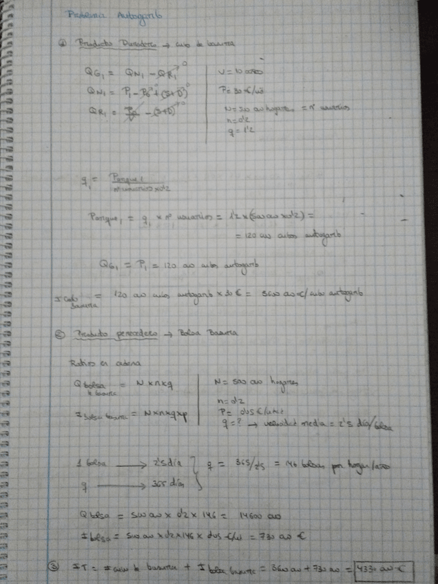 Miniatura del documento PROBLEMA AUTOGARB.jpg