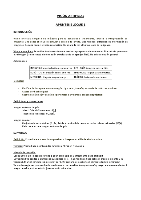 Miniatura del documento apuntes_vision_BLOQUE1.pdf